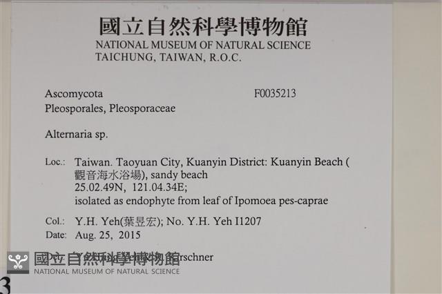 登錄號:F0035213藏品圖，第2張