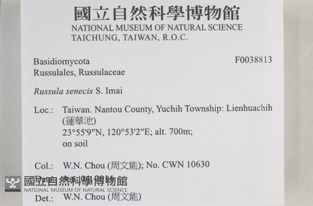 登錄號:F0038813藏品圖，第2張