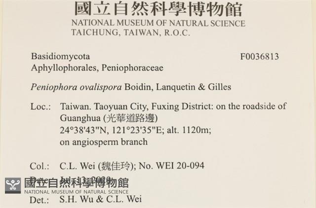 登錄號:F0036813藏品圖，第2張