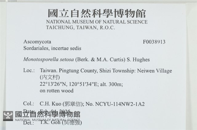 登錄號:F0038913藏品圖，第2張