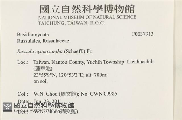 登錄號:F0037913藏品圖，第2張