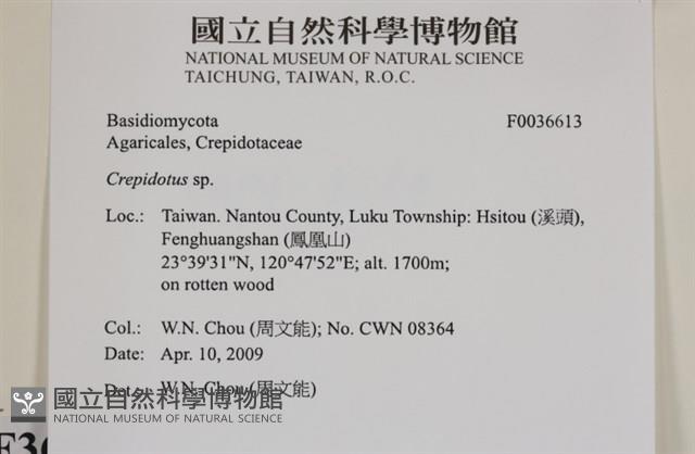 登錄號:F0036613藏品圖，第2張