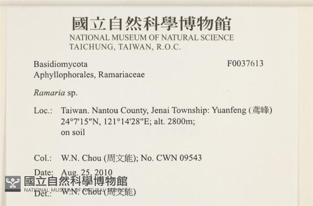登錄號:F0037613藏品圖，第2張