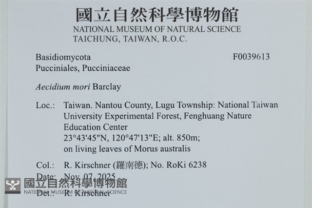 登錄號:F0039613藏品圖，第2張