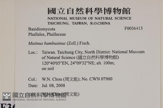 登錄號:F0036413藏品圖，第2張