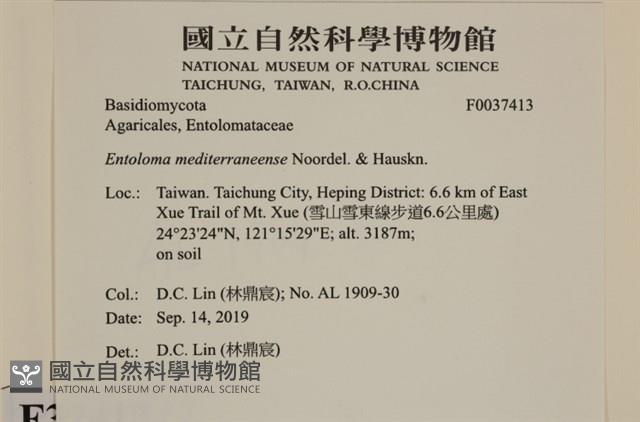 登錄號:F0037413藏品圖，第2張