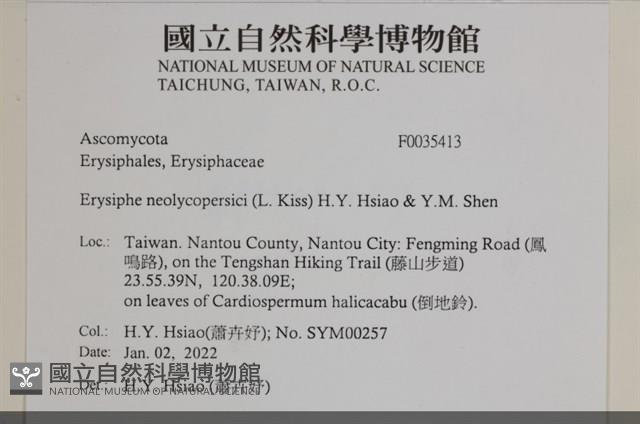 登錄號:F0035413藏品圖，第2張
