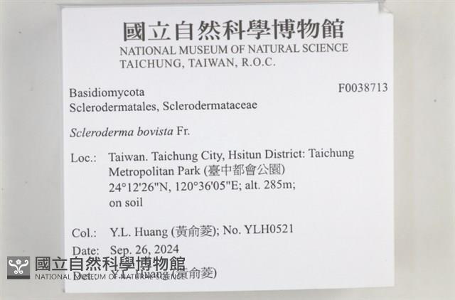 登錄號:F0038713藏品圖，第2張