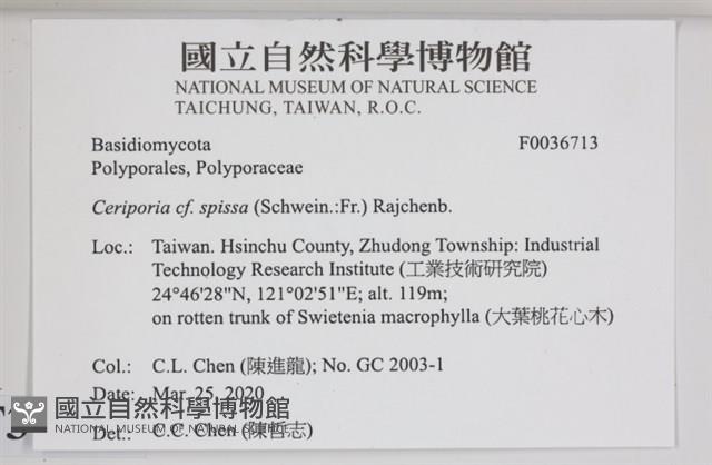登錄號:F0036713藏品圖，第2張