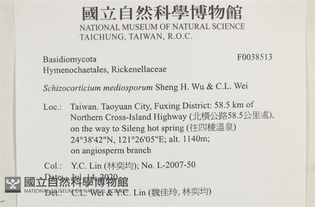 登錄號:F0038513藏品圖，第2張