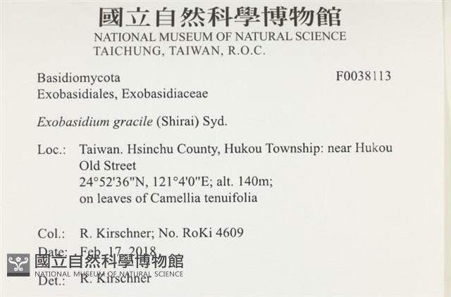 登錄號:F0038113藏品圖，第2張