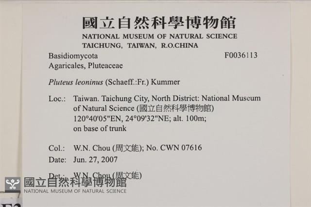 登錄號:F0036113藏品圖，第2張