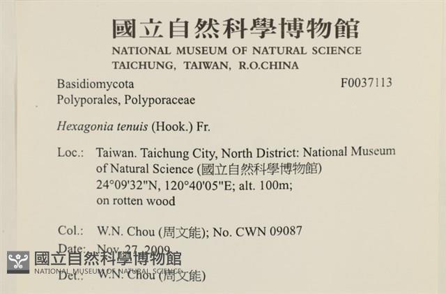 登錄號:F0037113藏品圖，第2張