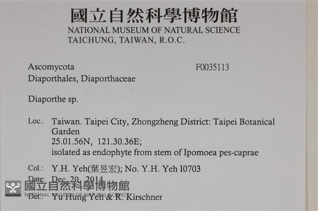 登錄號:F0035113藏品圖，第2張