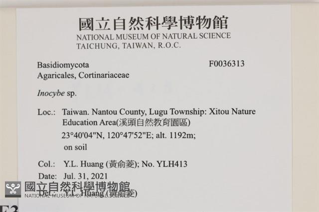 登錄號:F0036313藏品圖，第2張