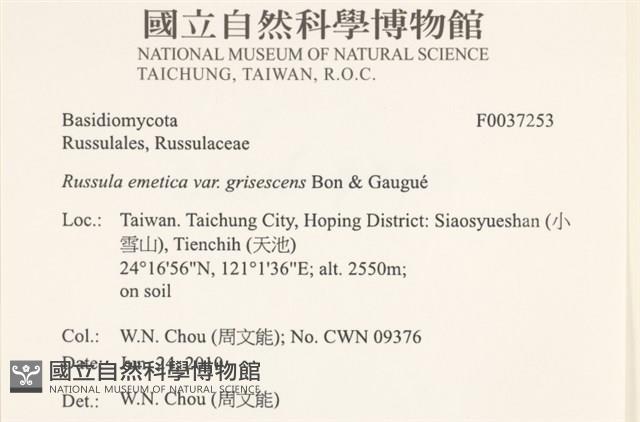 登錄號:F0037253藏品圖，第2張