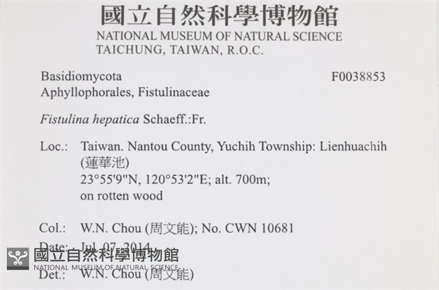 登錄號:F0038853藏品圖，第2張