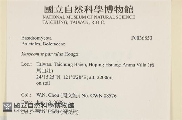 登錄號:F0036853藏品圖，第2張