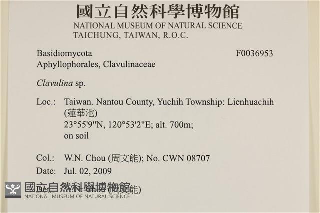 登錄號:F0036953藏品圖，第2張