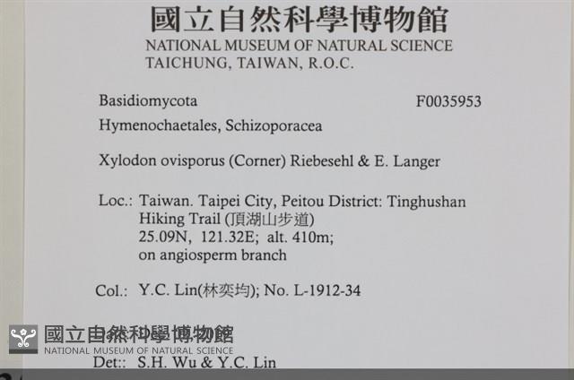 登錄號:F0035953藏品圖，第2張