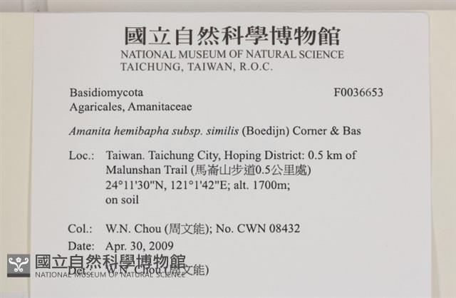 登錄號:F0036653藏品圖，第2張