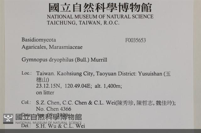 登錄號:F0035653藏品圖，第2張