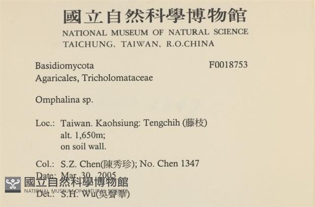 登錄號:F0018753藏品圖，第2張