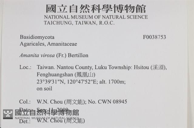 登錄號:F0038753藏品圖，第2張