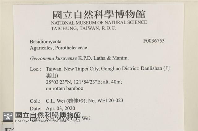 登錄號:F0036753藏品圖，第2張