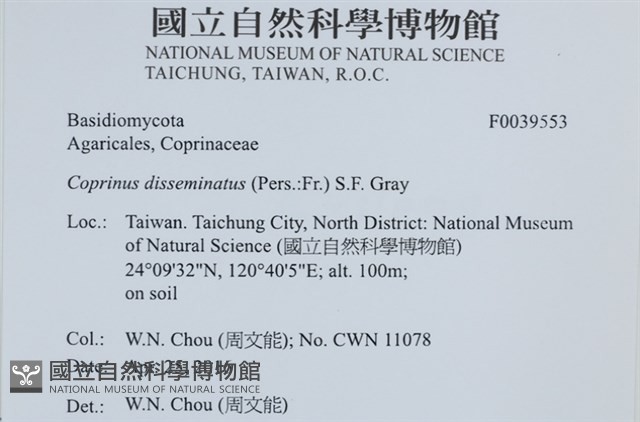 登錄號:F0039553藏品圖，第2張
