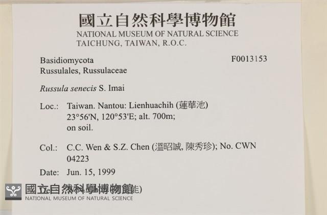 登錄號:F0013153藏品圖，第5張