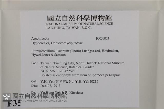 登錄號:F0035053藏品圖，第2張