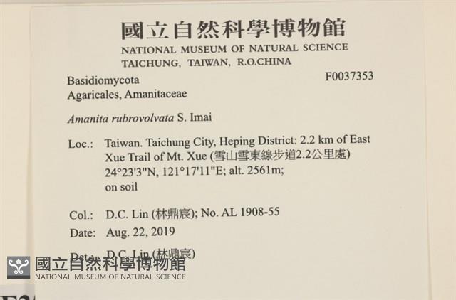 登錄號:F0037353藏品圖，第2張