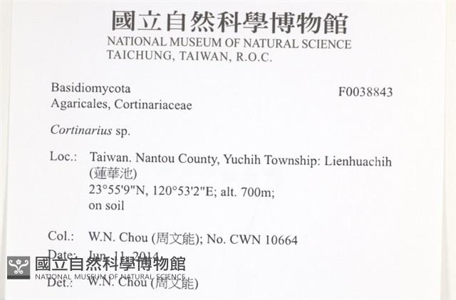 登錄號:F0038843藏品圖，第2張