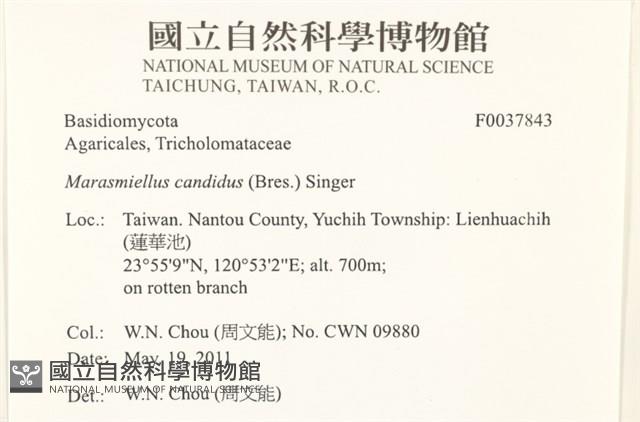 登錄號:F0037843藏品圖，第2張