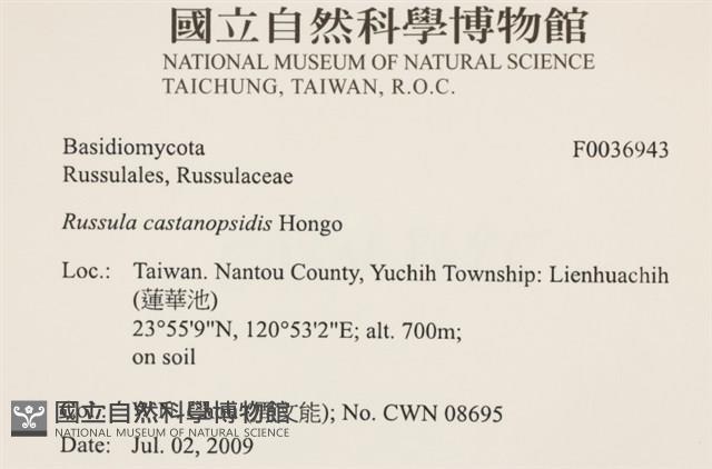 登錄號:F0036943藏品圖，第2張