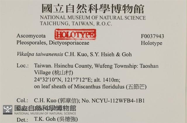 登錄號:F0037943藏品圖，第2張