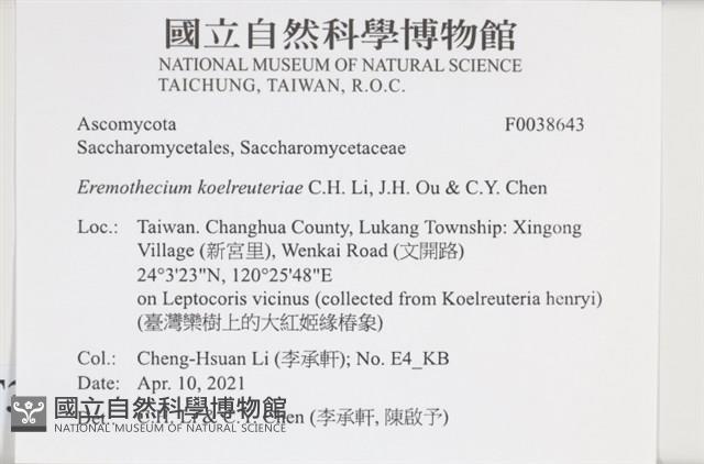 登錄號:F0038643藏品圖，第2張