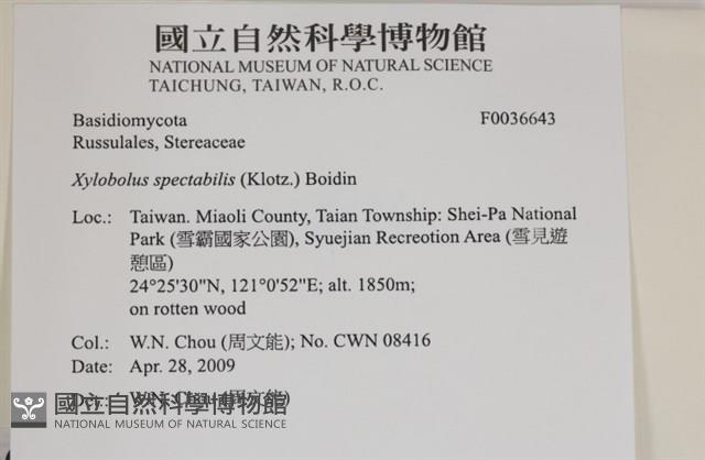 登錄號:F0036643藏品圖，第2張