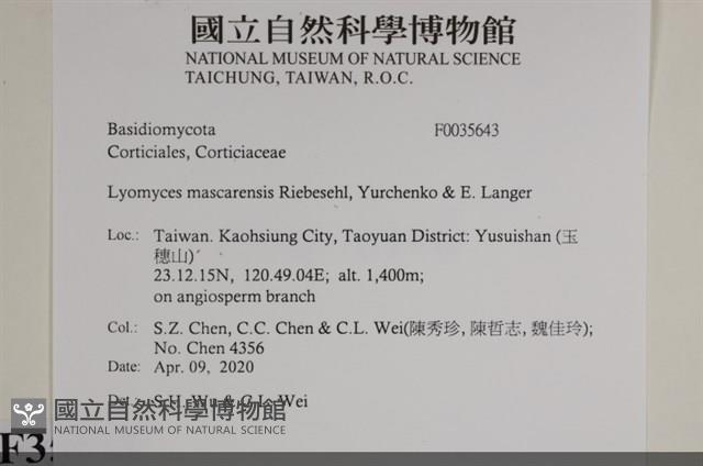 登錄號:F0035643藏品圖，第2張