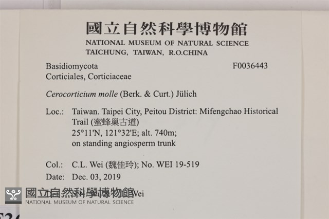登錄號:F0036443藏品圖，第2張
