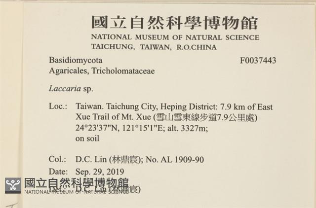 登錄號:F0037443藏品圖，第2張