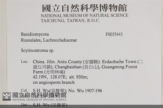 登錄號:F0035443藏品圖，第2張