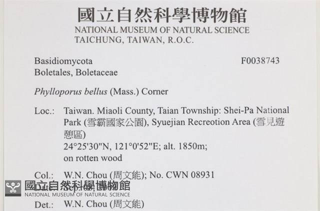 登錄號:F0038743藏品圖，第2張