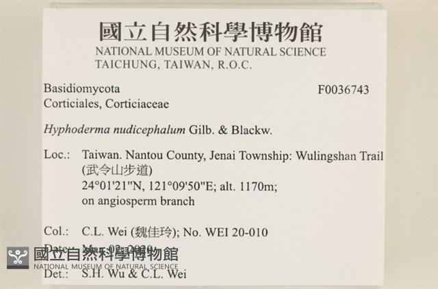 登錄號:F0036743藏品圖，第2張