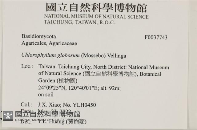 登錄號:F0037743藏品圖，第2張