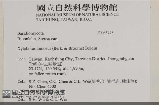 登錄號:F0035743藏品圖，第2張