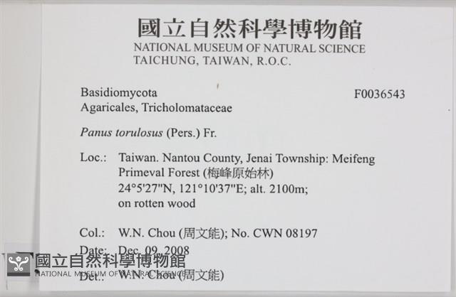 登錄號:F0036543藏品圖，第2張