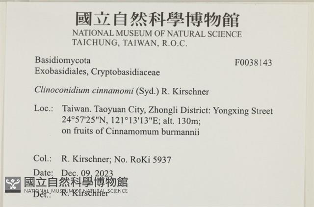 登錄號:F0038143藏品圖，第2張