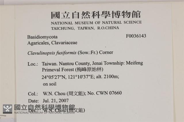 登錄號:F0036143藏品圖，第2張